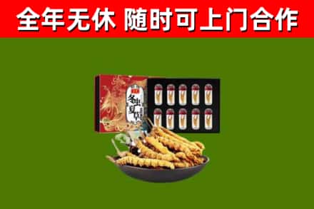 赤城县回收冬虫夏草价格